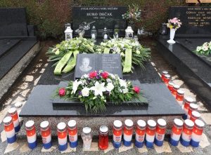 659084231 1394952715994512 5883138458526505786 n